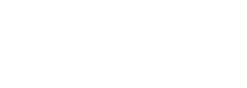 Orvion Group